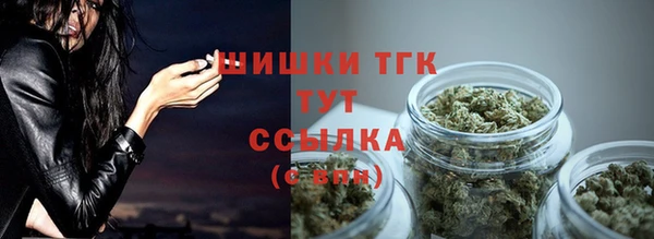 винт Костерёво