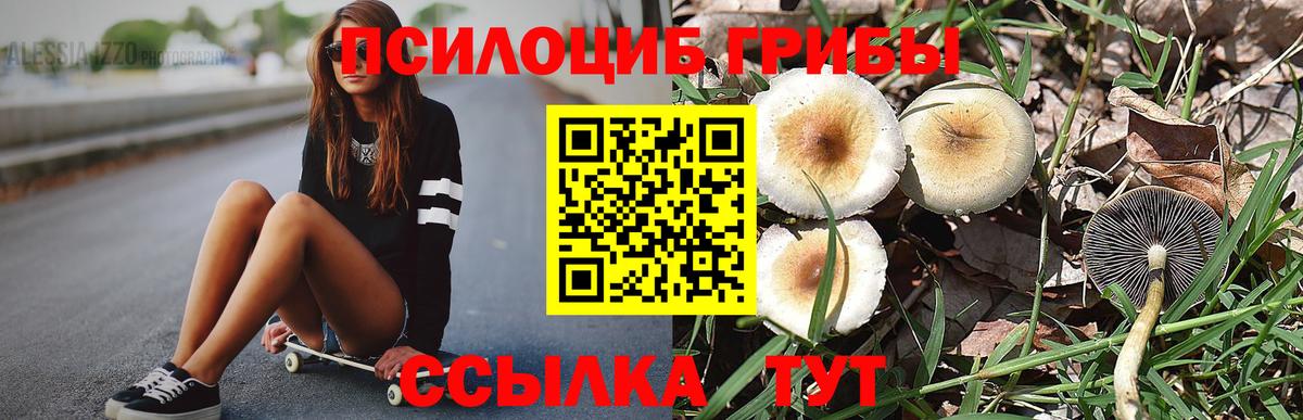 Псилоцибиновые грибы Psilocybine cubensis Назрань