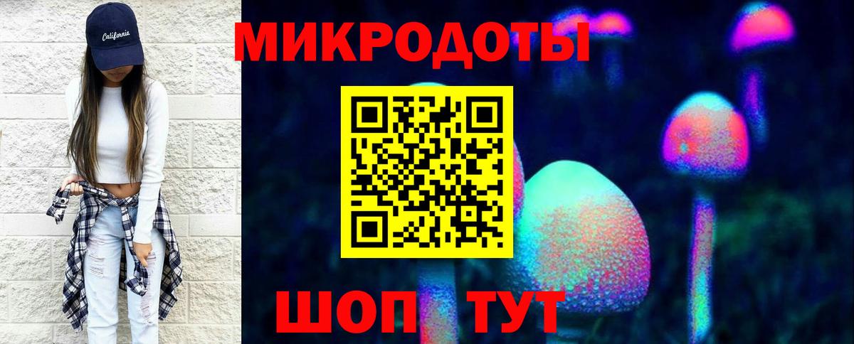 Псилоцибиновые грибы Psilocybe  Вход с VPN  как найти   Назрань  Псилоцибиновые грибы мицелий 